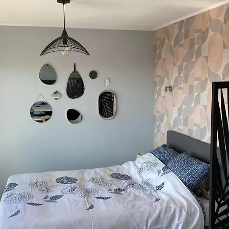 Appartement Studio Lumineux Cosy *